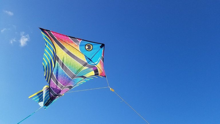The Rules Of Kite Fighting