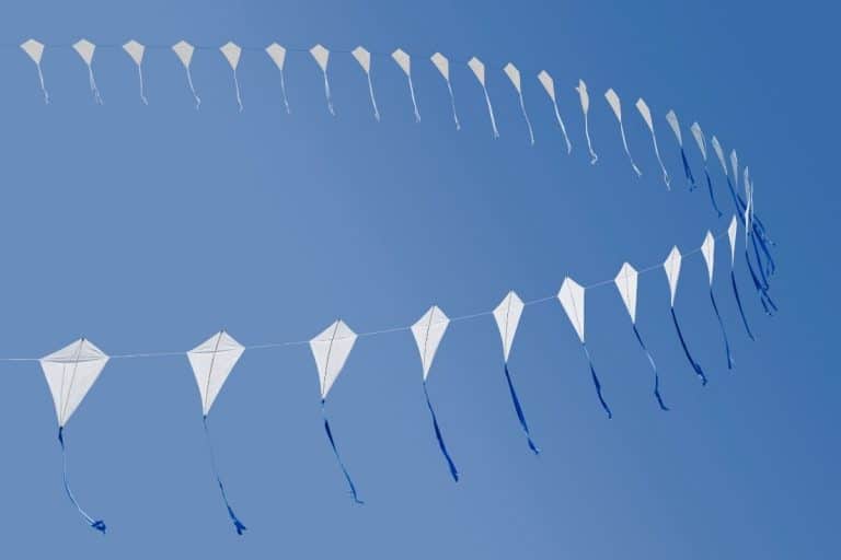 How To Make A Flying Kite With Plastic: Step-By-Step Guide