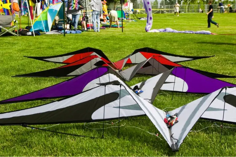 5 States That Have Kite Competitions