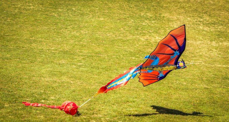 4 Reasons Why Your Kite Keeps Crashing and How To Fix It