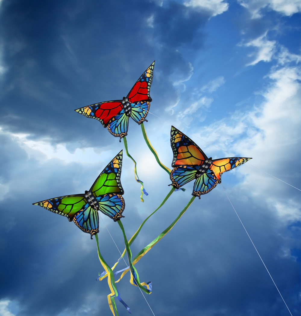 Three kites shaped like butterflies flying in blue sky